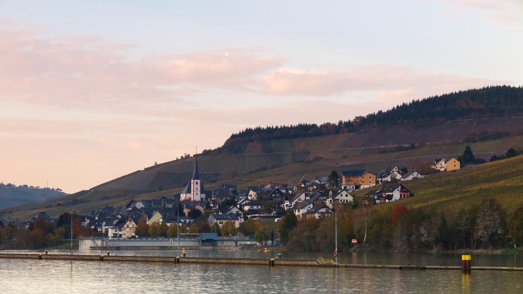 Ferienwohnung Am Edelberg Enkirch Esterno foto